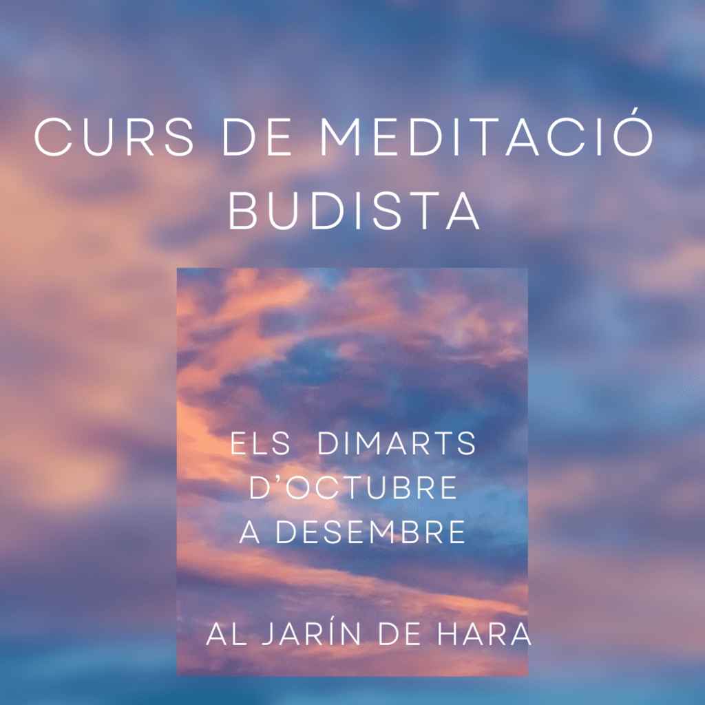 Curs de meditació budista