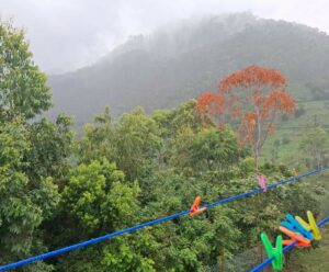 Els núvols segueixen rutes imprevisibles