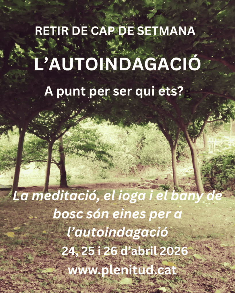 Retir d'autoindagació