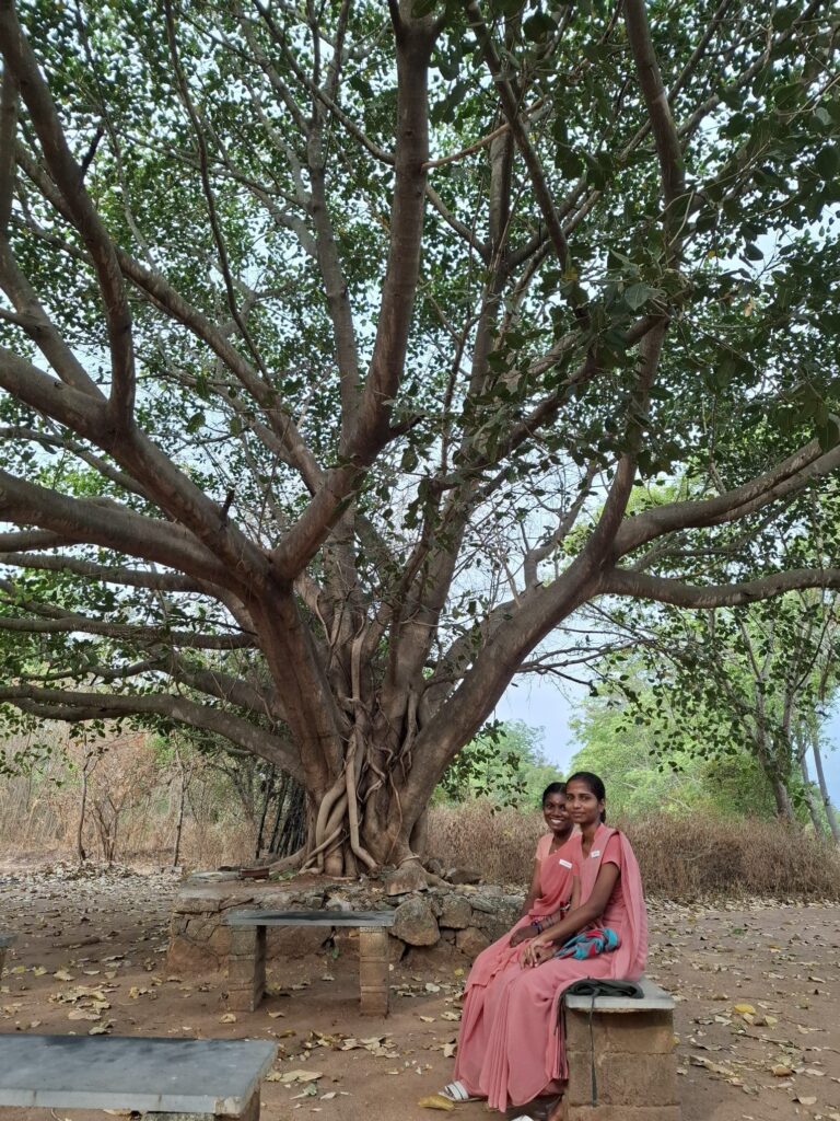 Dues índies sote un arbre immens
